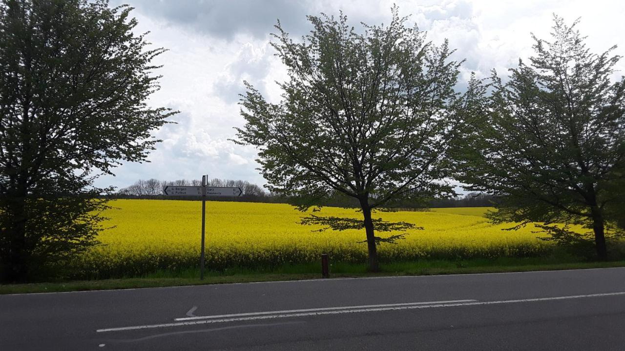 Apartament Haus Im Wind Putbus Zewnętrze zdjęcie